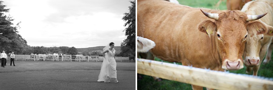 eastington park wedding photographers