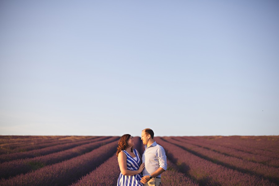 lavender fields photography