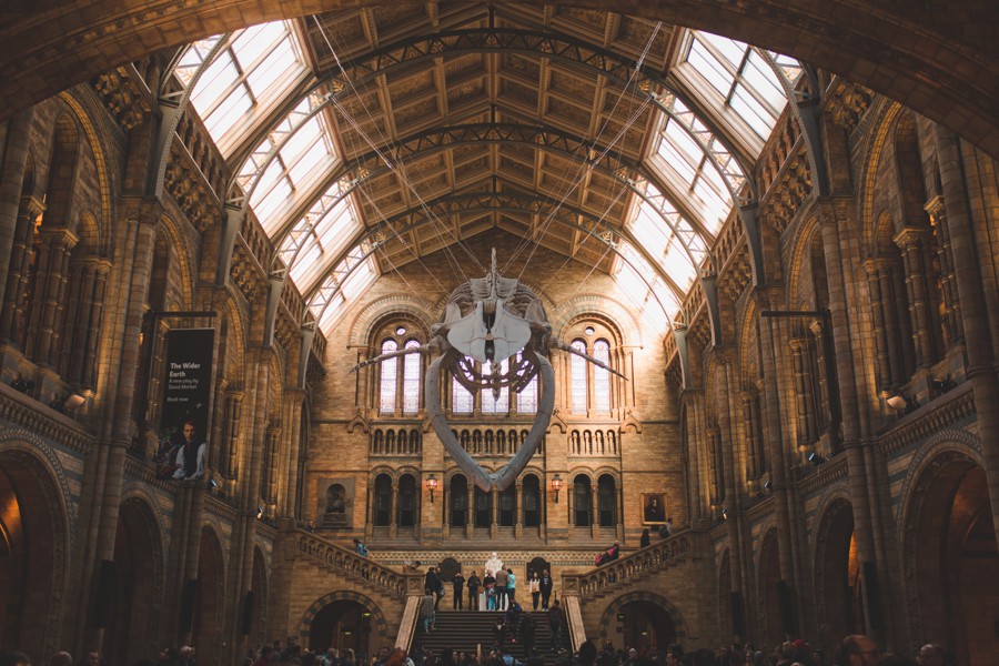 wedding photography Natural History Museum Earth hall